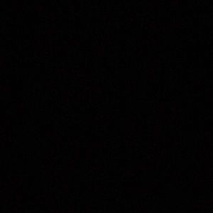 Meet your Posher, Phoebe